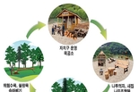 서울시, 주요 산림의 숲 가꾸기 통해 생태적으로 건강한 숲 만들기 위해 노력