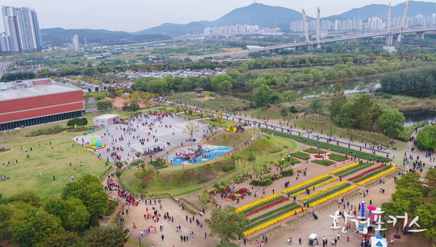 ‘2024 드림파크 국화축제’ 성료, 가을꽃 향기 잔잔하게 남아