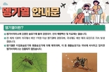 부산시, 뎅기열 감염 예방 위해 3월부터 <지역거점 뎅기열 예방관리사업> 본격적으로 추진